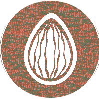 Frutos de cascara