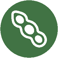Soja